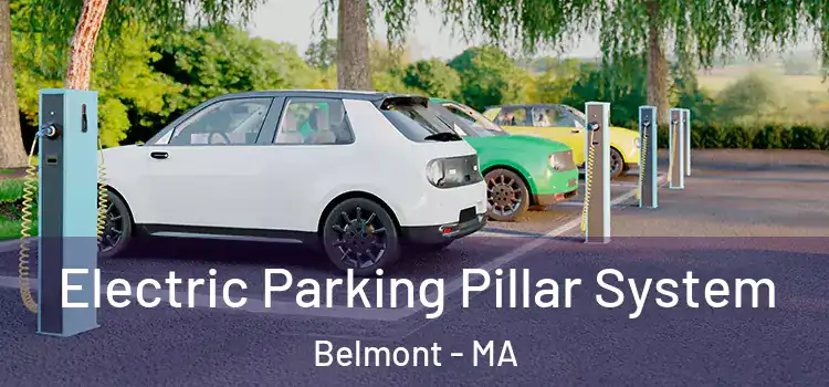Electric Parking Pillar System Belmont - MA