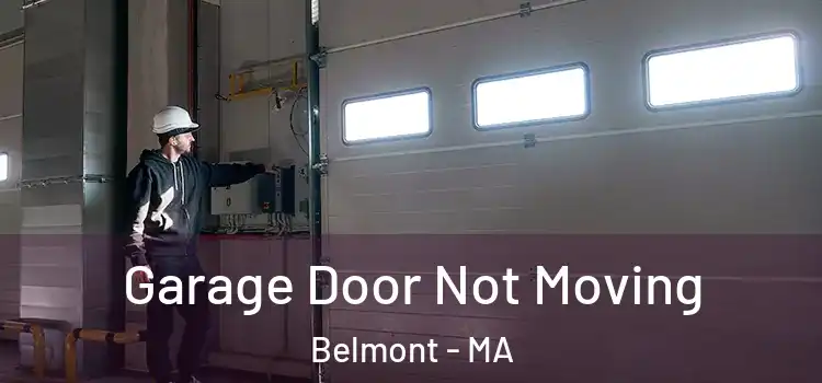  Garage Door Not Moving Belmont - MA