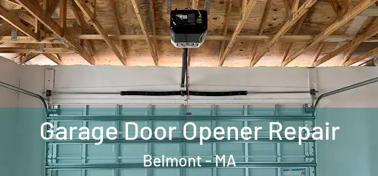  Garage Door Opener Repair Belmont - MA