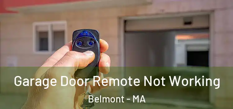  Garage Door Remote Not Working Belmont - MA