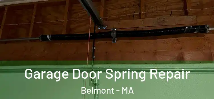  Garage Door Spring Repair Belmont - MA