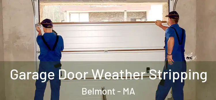  Garage Door Weather Stripping Belmont - MA