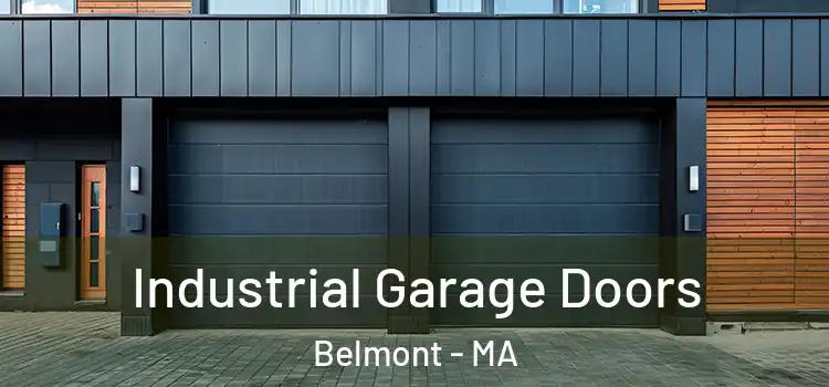  Industrial Garage Doors Belmont - MA