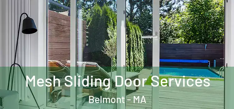 Mesh Sliding Door Services Belmont - MA