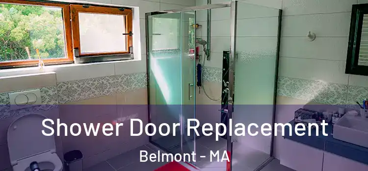 Shower Door Replacement Belmont - MA