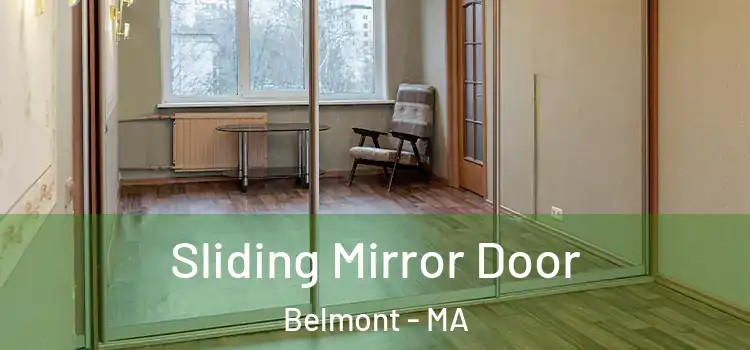  Sliding Mirror Door Belmont - MA